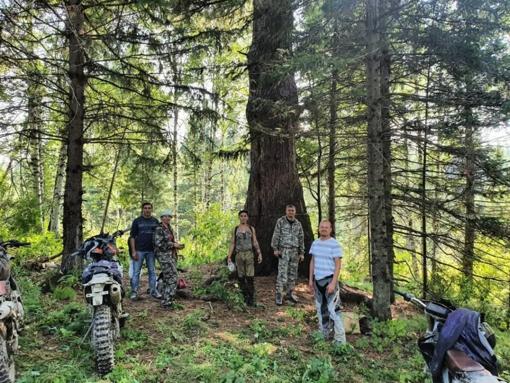 В тайге есть лето. Экскурсия в тайгу. человек в тайге. экспедиция в тайгу. экспедиция в сибирской тайге.