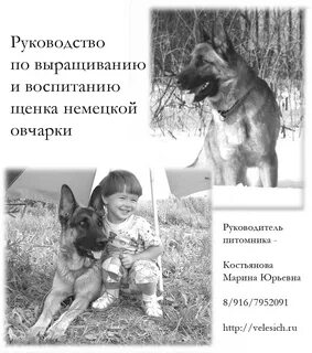 Как правильно воспитывать щенка