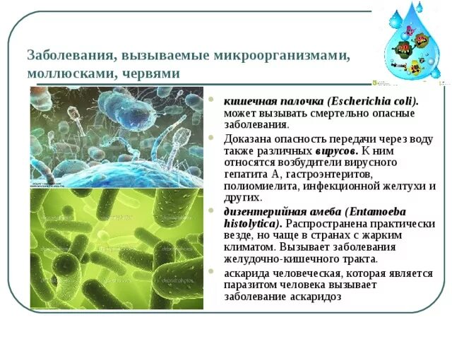 Как можно вызвать воды. Микроорганизмы в воде. Заболевания вызванные микроорганизмами. Опасные микроорганизмы в воде. Водные бактерии названия.