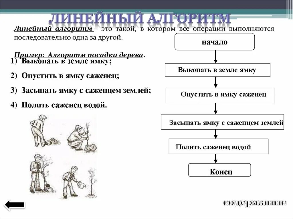 По образцу 8 класса линейная программа