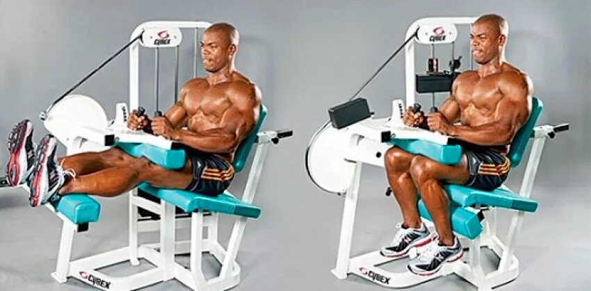 Сгибание бедра сидя. Сгибание бедра сидя. Трицепс-машина body solid proclub stm-1000g. Тренажер техноджим разгибание бедра. Тренажер для сгибания и разгибания ног.