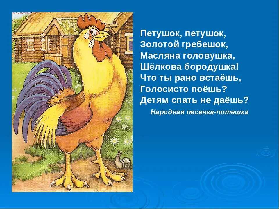 Шелкова бородушка. Петушок петушок золотой гребешок потешка. Шелкова бородушка. Петушок золотой гребешок автор. Петушок петушок золотой гребешок маслена бородушка.