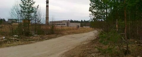Населенный пункт кострома