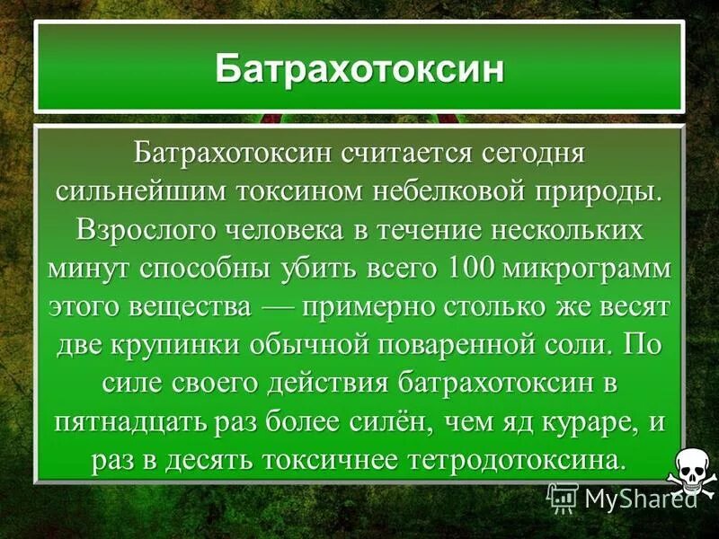 Яд кураре. Отравление ядом кураре. Яд батрахотоксин. Сильнейшие токсины