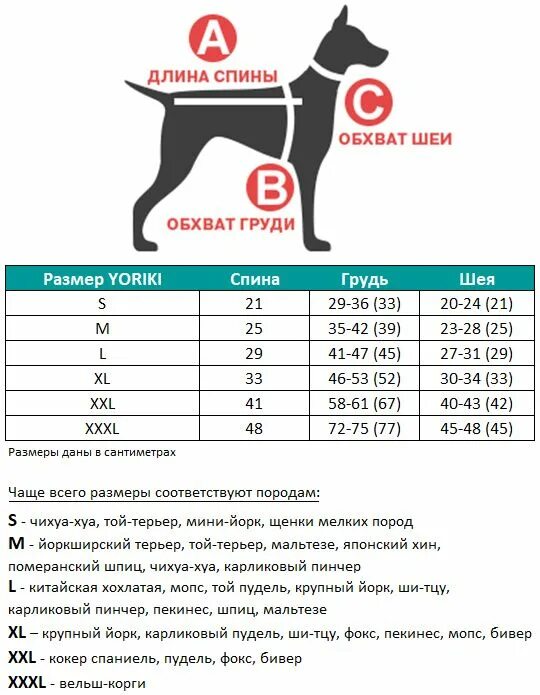 Сколько должна весить корги. Размер щенка в 4 месяца Цвергпинчер. Обхват шеи у восточноевропейской овчарки. Размеры цвергпинчера по месяцам. Размерная сетка одежды для той терьера.