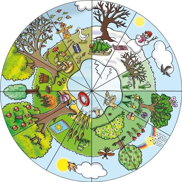 Изображения времен года для детей. Круг времена года для детей. Времена года круг для детского сада.