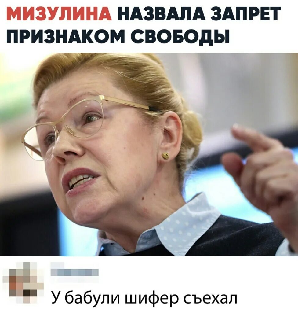 Что не так с мизулиной