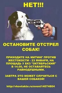 Отстрел города