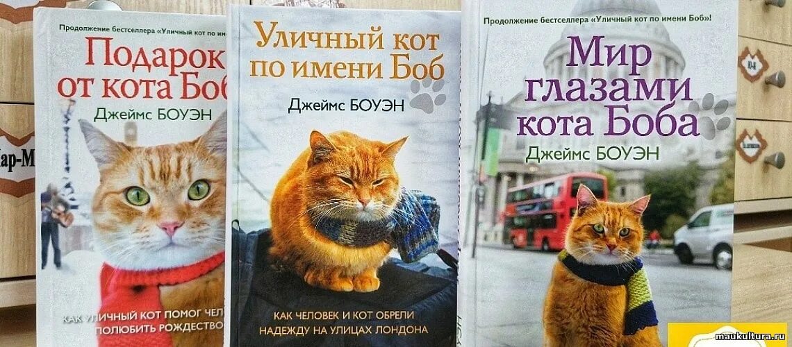 Книга про боба. Боуэн уличный кот по имени Боб.