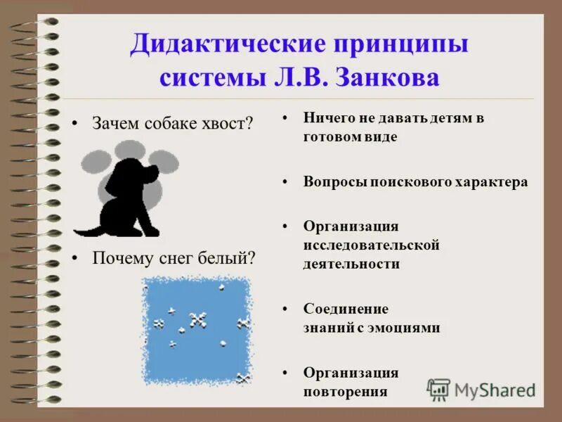 принципы дидактической системы занкова. дидактические принципы зачкова. дидактическая система занкова. дидактические принципы развивающего обучения л. дидактические принципы занкова.