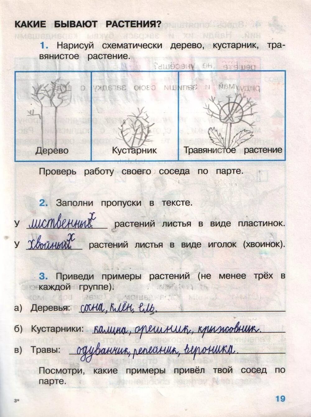 Окружающий мир 2 класс рабочая тетрадь 1 часть Плешаков ответы стр 19. Окружающий мир 2 класс рабочая тетрадь Плешаков стр 3. Окружающий мир 2 класс 2 часть рабочая тетрадь а а Плешаков 2 часть. Рабочая тетрадь окружающий мир 2 класс две части Плешаков. Плешаков рабочая тетрадь второй класс ответы