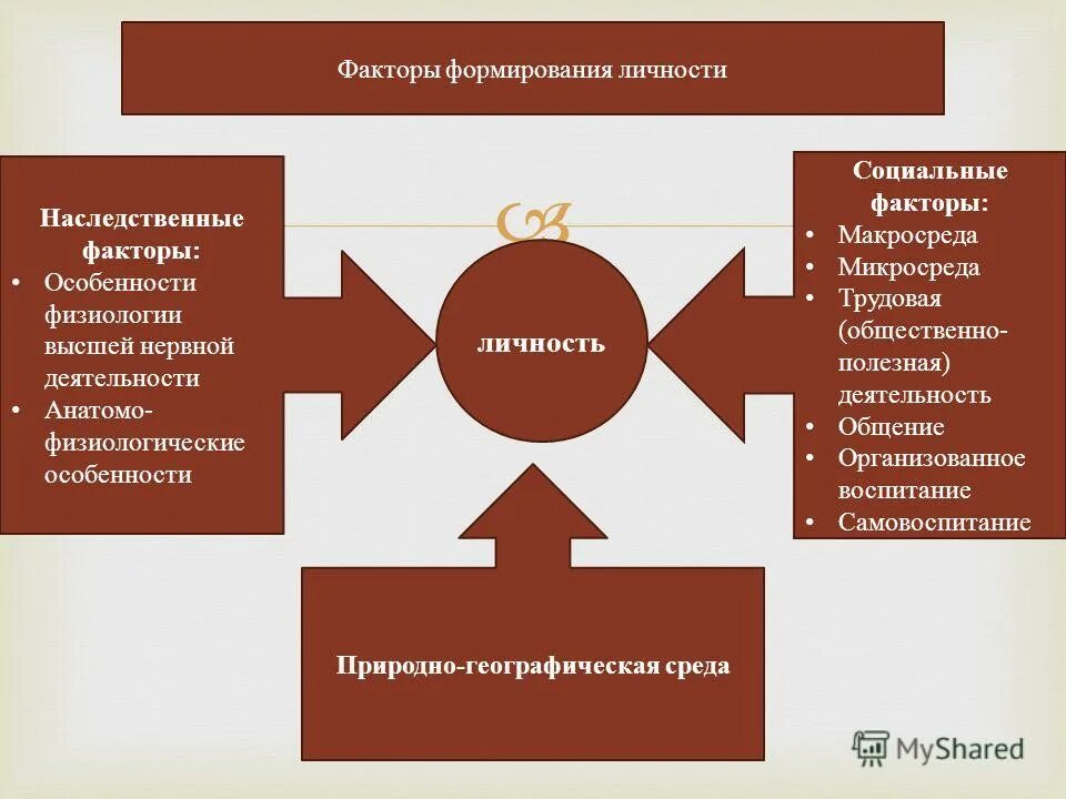 Социальные факторы становления человека