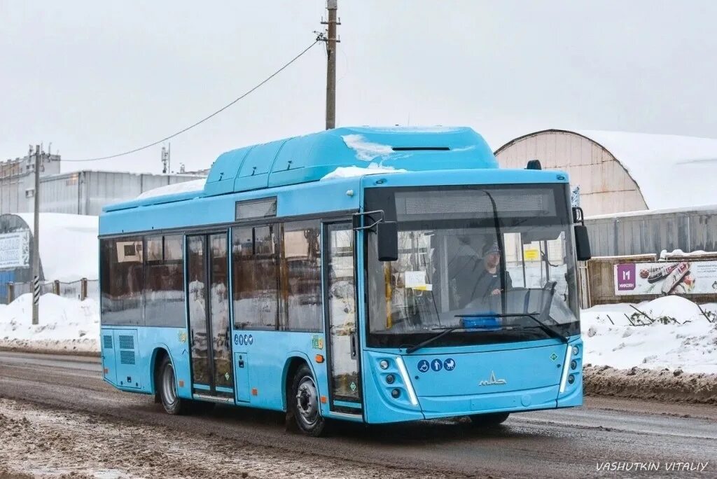 автобус для севера. рико автобусы архангельск. тк рико архангельск. транспортная компания рико архангельск. автобус 10.