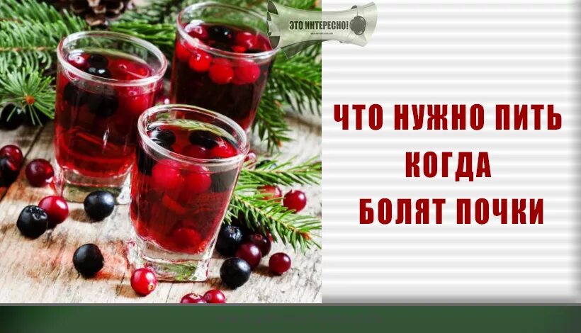 Когда болеешь надо пить. Что можно пропить когда болят почки. Что можно попить если болят почки. Напитки для почек. Таблетки от боли в почках.