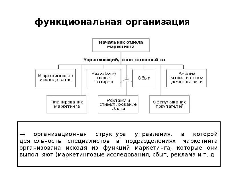 Функциональная организация. Организационные и функциональные принципы. Организация работы руководителя. Функциональная организация маркетинга