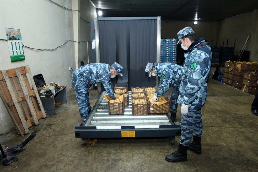 Незаконного перемещения через таможенную границу