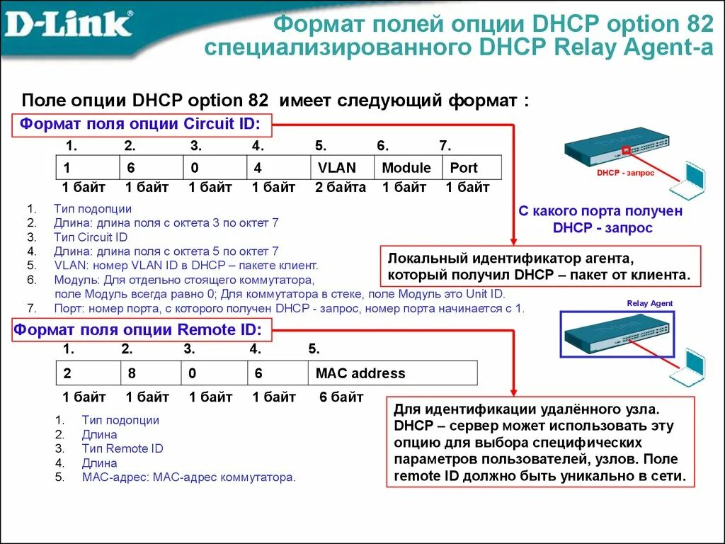 Опции DHCP. Формат DHCP пакета. Функции DHCP. Поля опций DHCP. Packet client