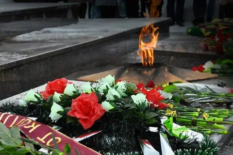 Новости сегодня ровеньки луганская область последние происшествия