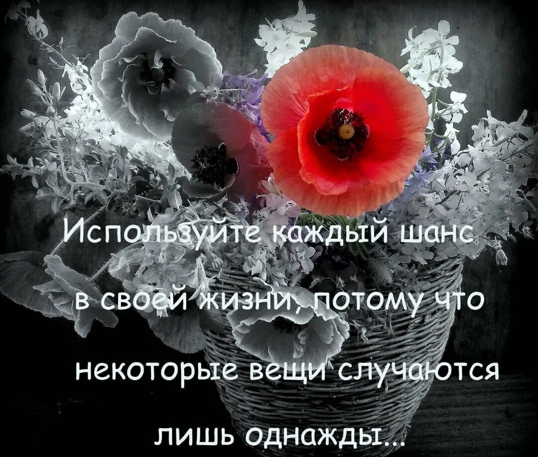 Шанс в жизни человека. Афоризмы про шанс в жизни. Фразы про шанс в жизни. Стихи про шанс в жизни. Каждому в жизни даётся шанс.