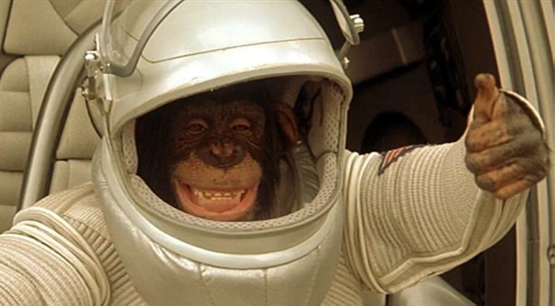 Обезьяны первыми полетели в космос. Перикл Планета обезьян. Планета обезьян 2001. Обезьяна в скафандре. Обезьяны в космосе.