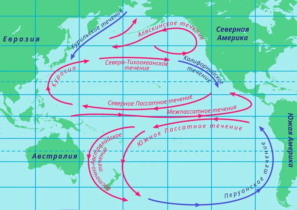 Морских течений действует в тихом океане. Схема течений Тихого океана. Северо Тихоокеанское течение на карте Северной Америки. Северное пассатное течение на карте. Схема поверхностных течений Тихого океана.