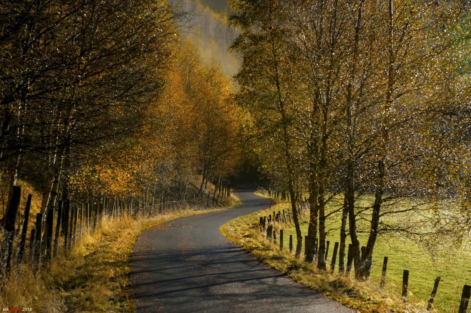 Road branch. Дорога зимой. Road branch. Road branch. Дорога цветов.