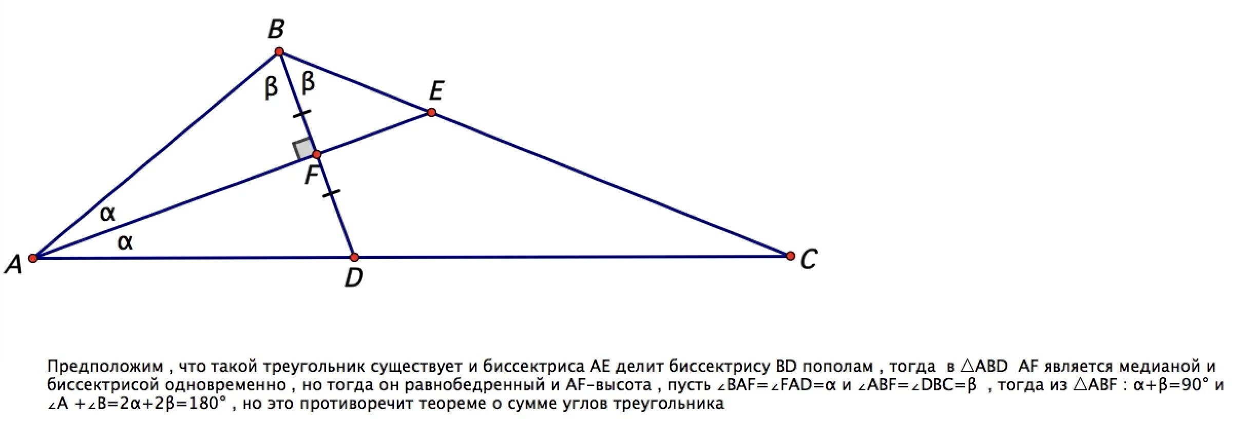 Биссектриса. Биссектриса треугольника. Биссектриса делит треугольник пополам. Биссектриса треугольника не может делить пополам его высоту. Любая биссектриса треугольника делит его пополам