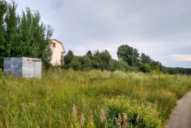 Участок буревестник. Деревня Копнино Нижегородская область Богородский район. Пальцино Богородский район Нижегородской области. СНТ Крутец Дулево 129 участок. Л. Крутец Нижегородская обл., ул. светлая 50.