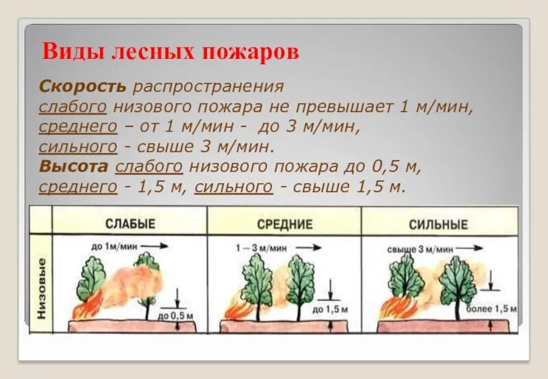 Таблица лесных пожаров