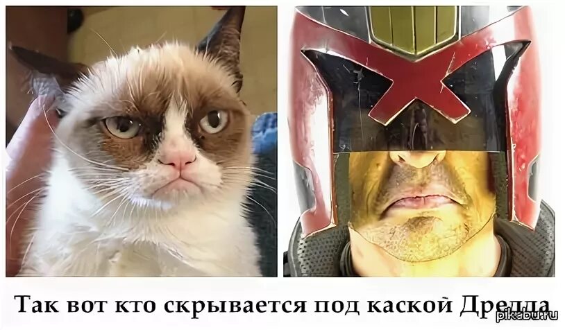 Аватар лиса кто скрывается под маской. Аватар лиса кто скрывается под маской