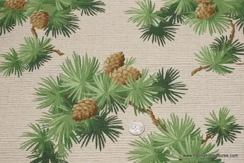 Ткань хвойного растения