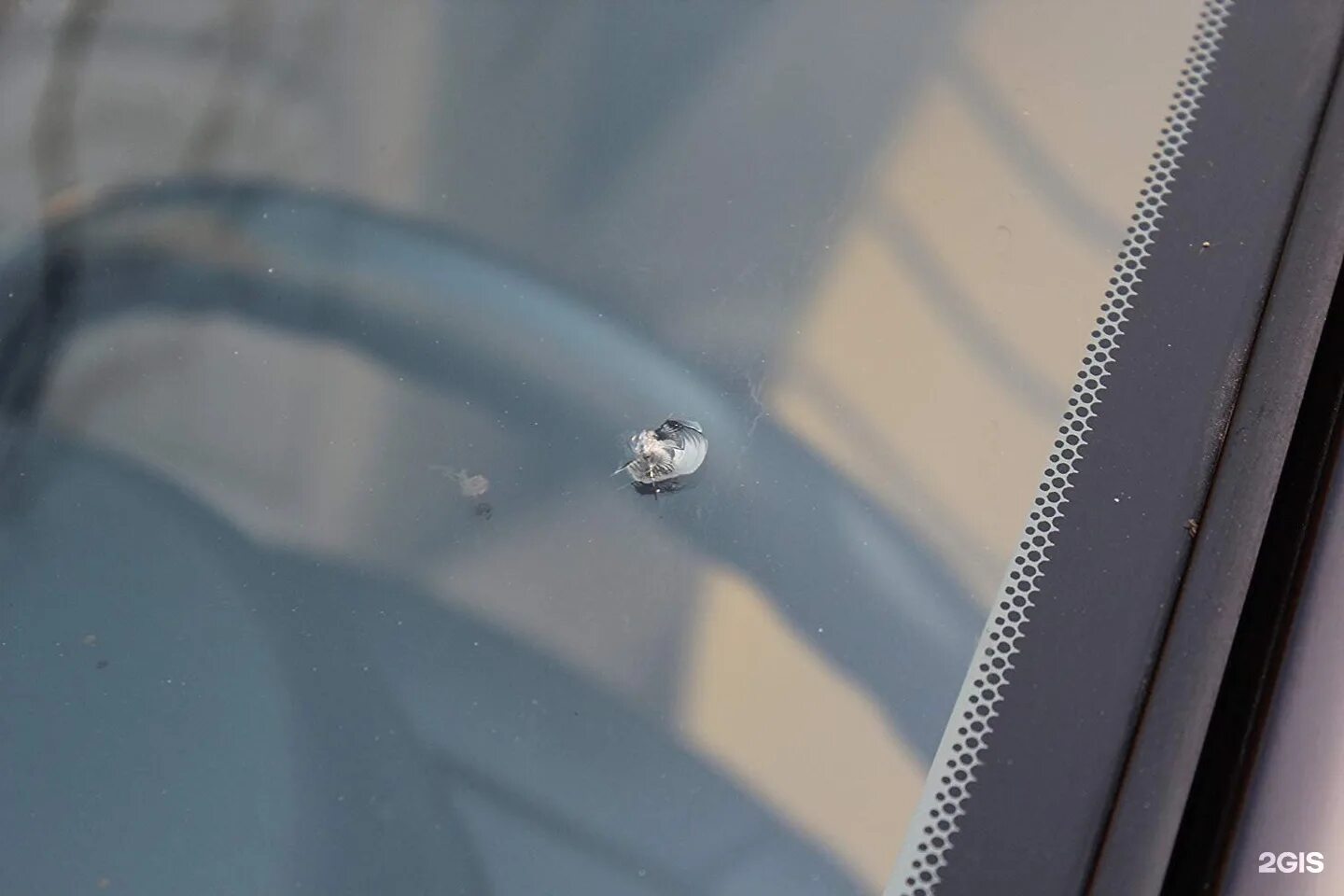 Скол курск. Ремонт стекол. Скол на лобовом стекле. Сумская улица курск. Скол курск.