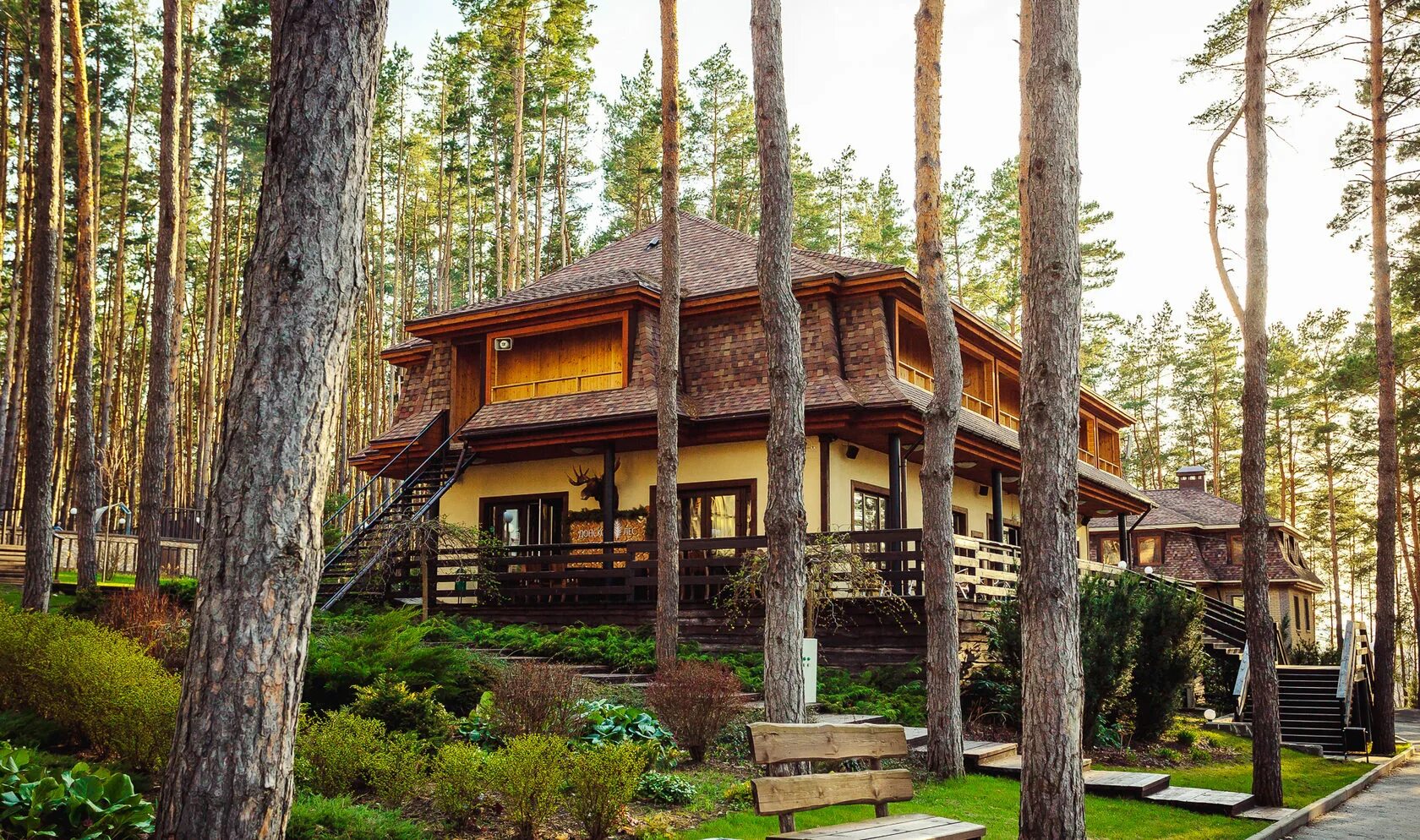 Донской лес воронеж. Донской лес база отдыха задонск. Донской лес база отдыха липецк. База отдыха донской лес задонский район. Задонск донской лес база.