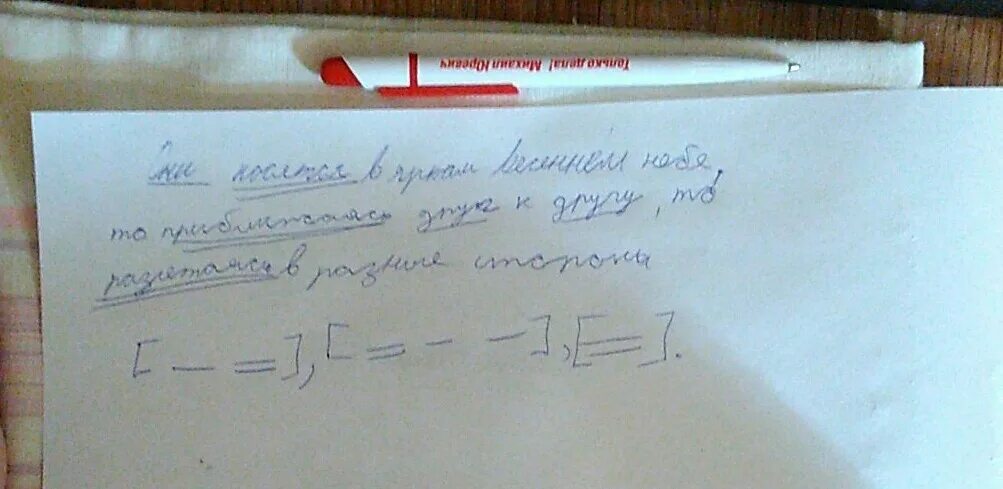 Сторонам разбор. Синтаксический разбор в синем небе носятся Стрижи и ласточки. Они разбор.