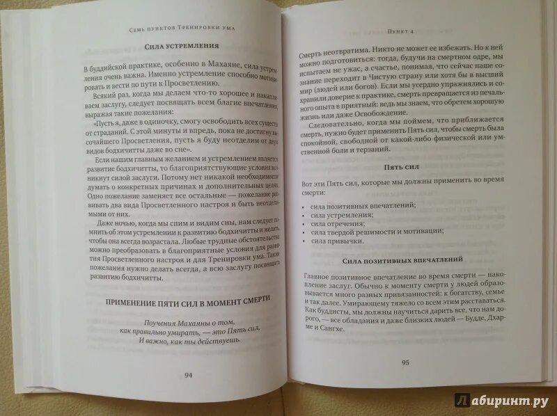 Семь пунктов тренировки ума. Книга семь пунктов тренировки ума. Книжка тренировка ума. Книга тренировка ума том Вуджек. Книга тома вуджека