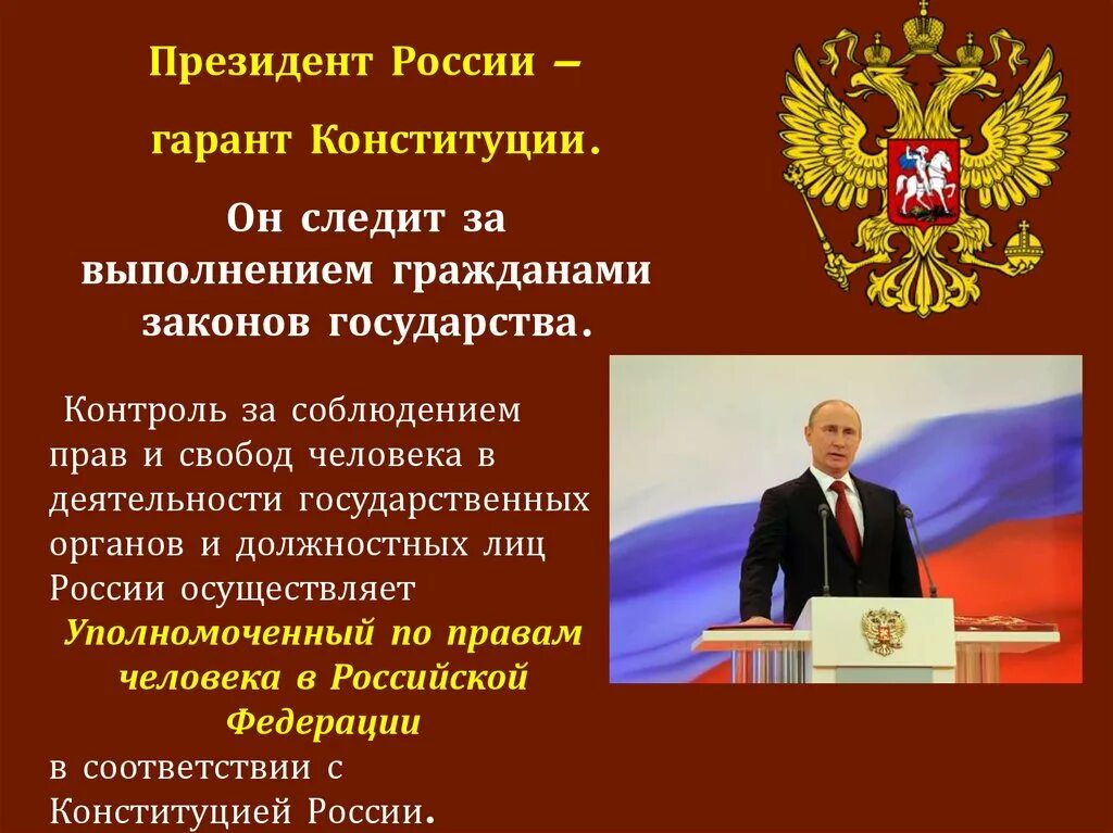 Конституционные основы президента рф. Гарант Конституции РФ.