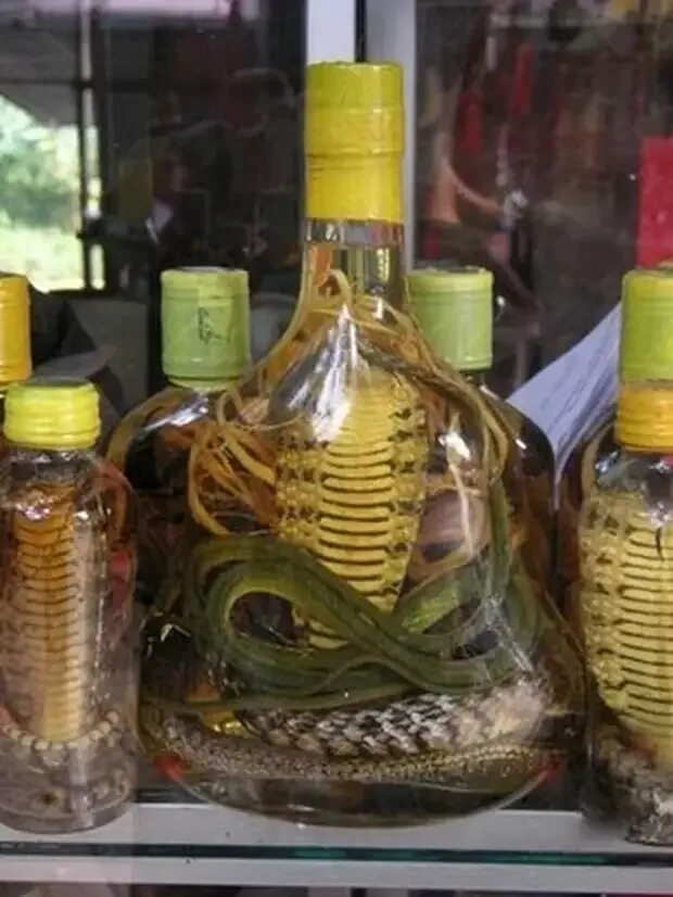 Вьетнамская змеиная настойка. Купить настойка змей