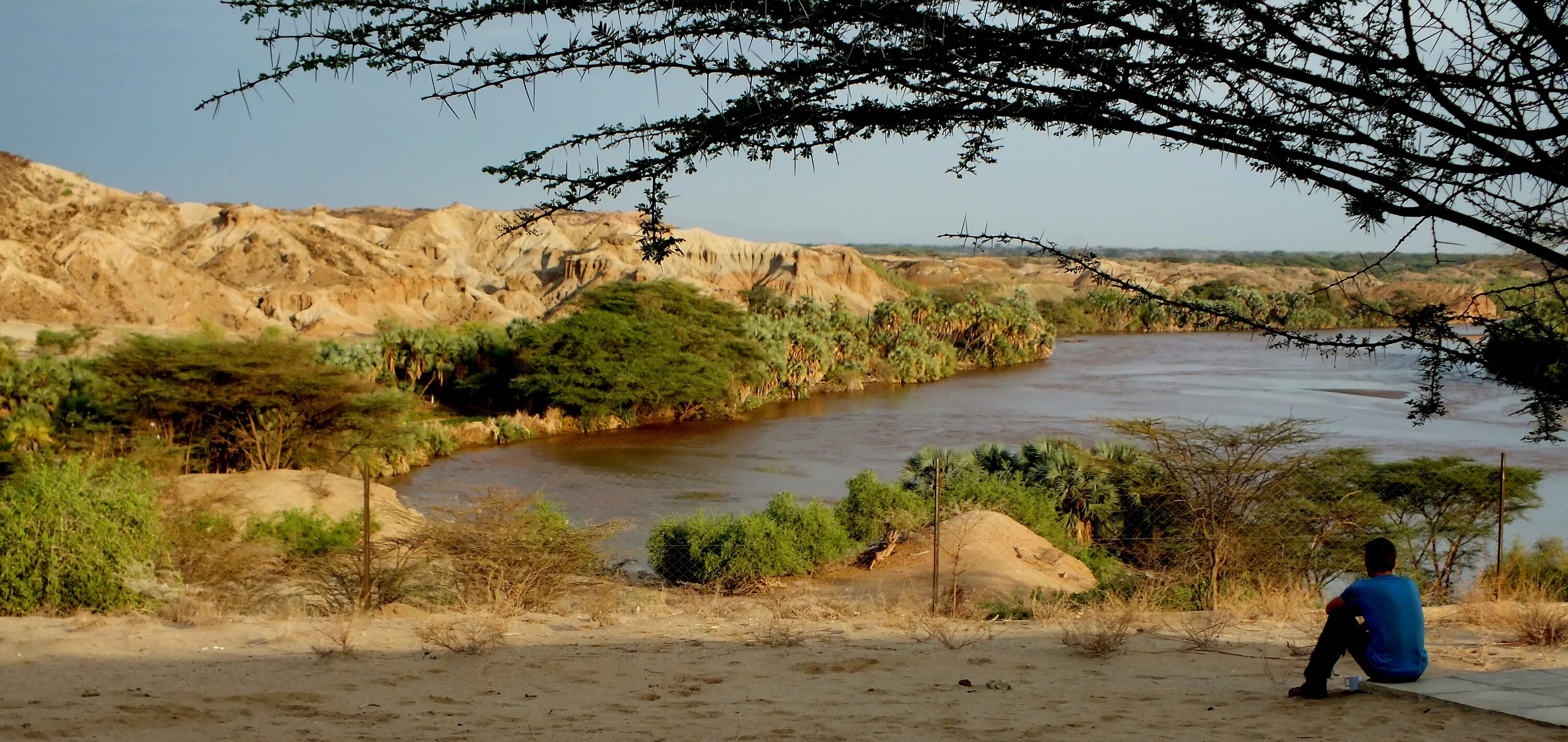 Река Лимпопо ЮАР. Лимпопо река в Африке. Africa river