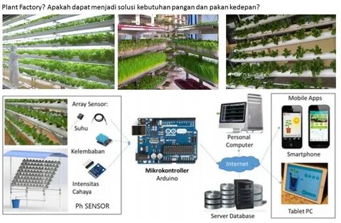 Plant завод