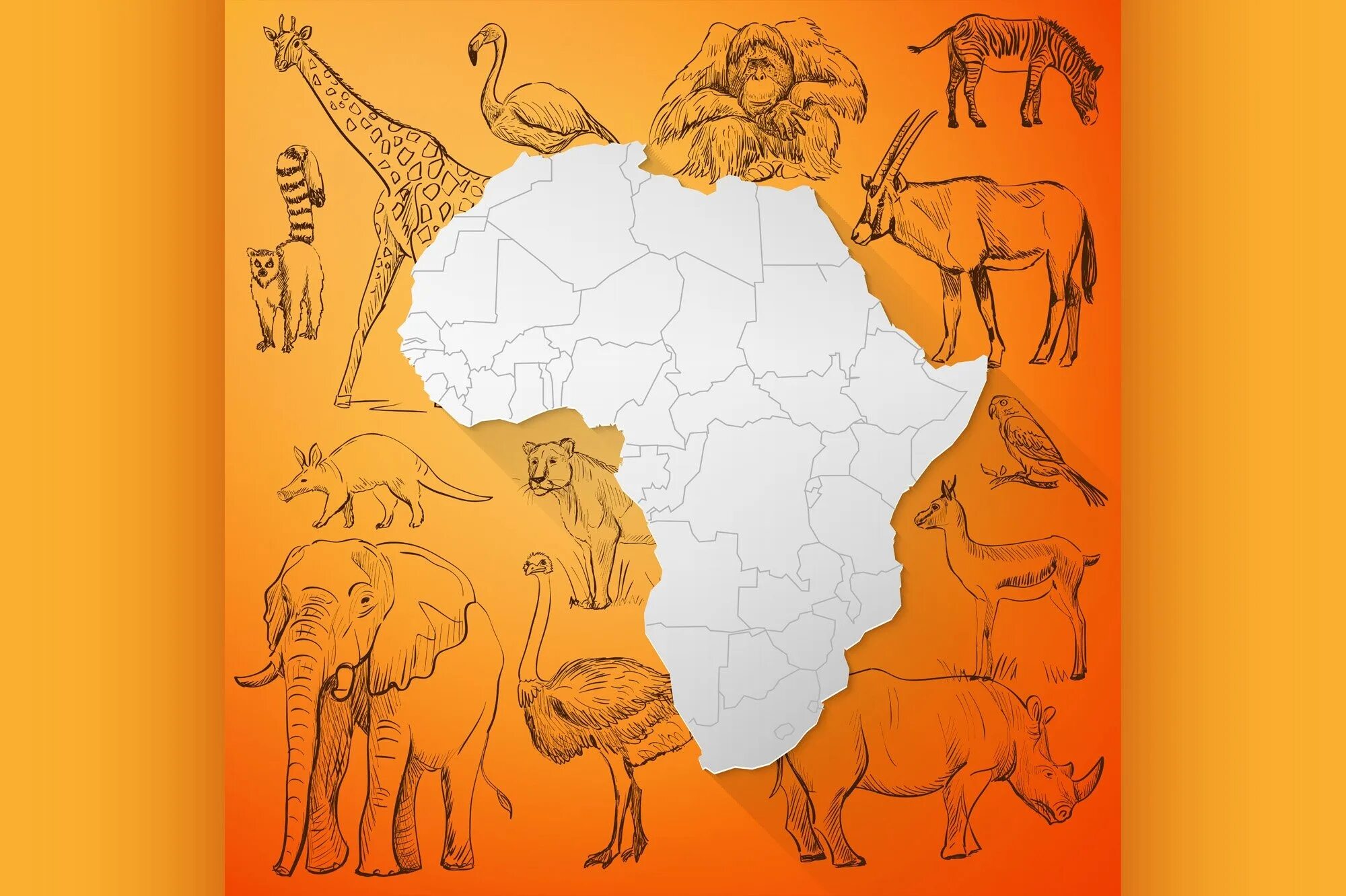 Животные африки 2 класс. Африка карта для детей. Карта Африки для дошкольников. Контур Африки. Карта Африки картинка для детей.