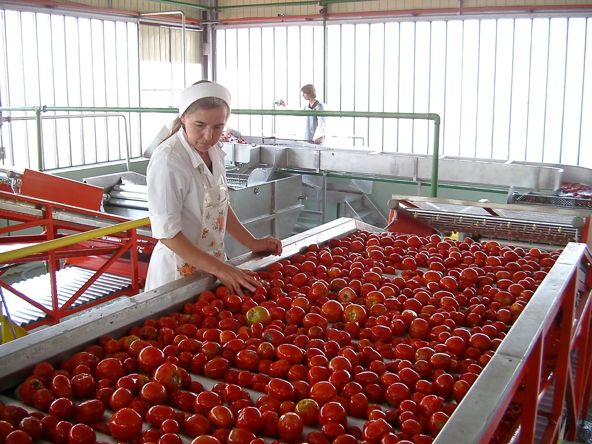 Организация переработки сельскохозяйственной продукции. Консервный завод КБР. Техада станица Павловская. Переработка овощей и фруктов. Фасовка овощей и фруктов.