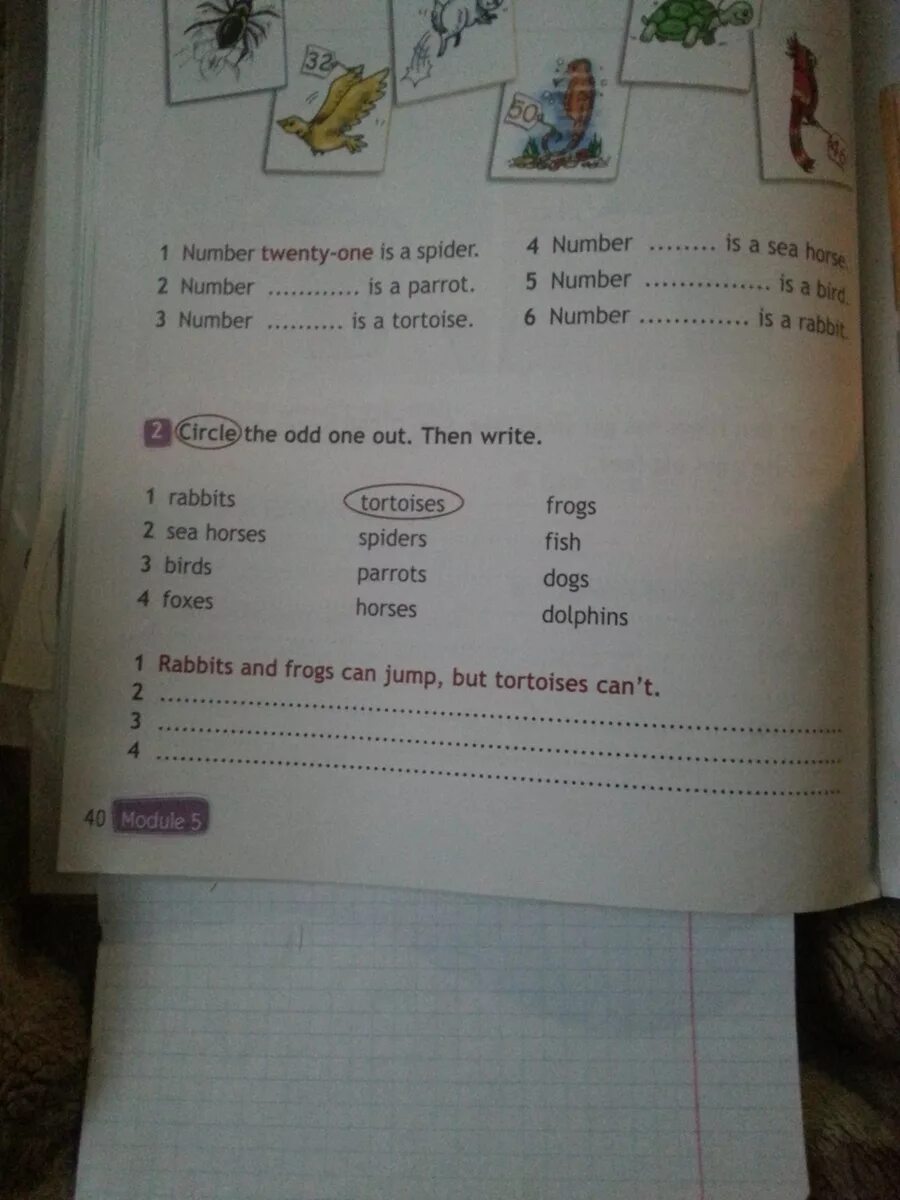 Spotlight 3 класс 2 часть стр 40. Circle the odd one out then write. 2 Circle the odd one out. Then write.. Circle the odd one out then write 3 класс. Circle the odd one out ответы.