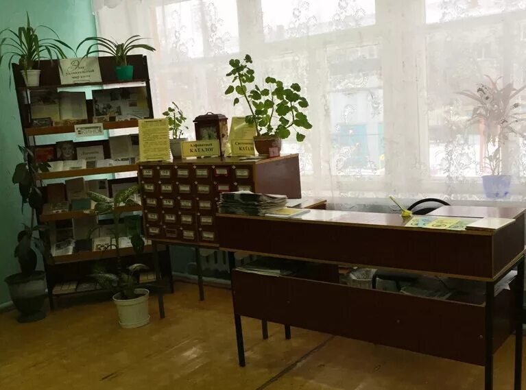 Библиотека новозыбков. Наши библиотеки в новозыбкове. Новозыбковская городская библиотека. Библиотека новозыбков. Детская библиотека новозыбков.