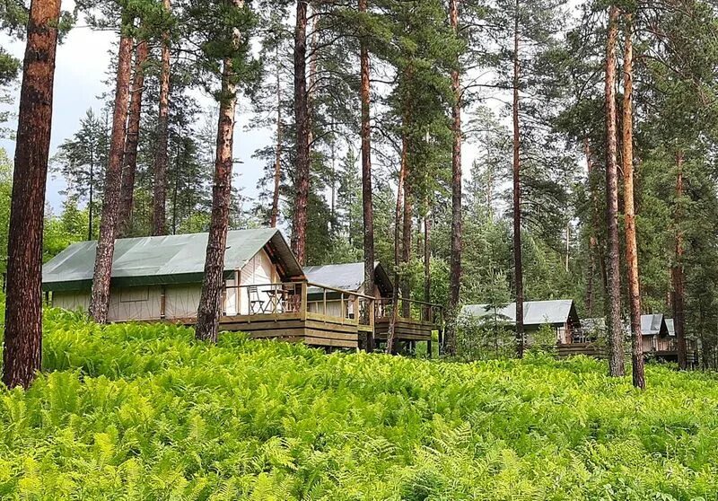 Чепош парк сайт. Чепош парк глэмпинг. Чепош парк горный Алтай. Глэмпинг Чепош парк Алтай. Чепош парк сафари тенты.