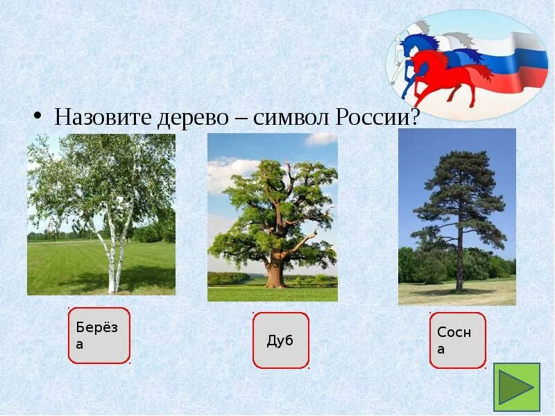 Деревья символы стран. Дерево симвовол России. Какое дерево символ России. Какое дерево является символом России. Береза символ России.
