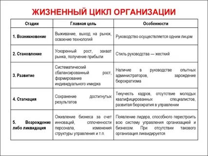 Понятие и стадии жизненного цикла