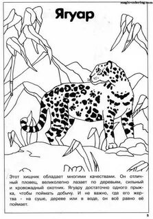 Нарисовать растения и животные из красной книги