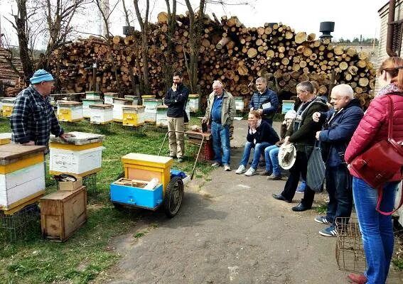 Институт пчеловодства рыбное. Институт пчеловодства в москве. техникум пчеловодства. институт пчеловодства пелевин. нии пчеловодства г рыбное.
