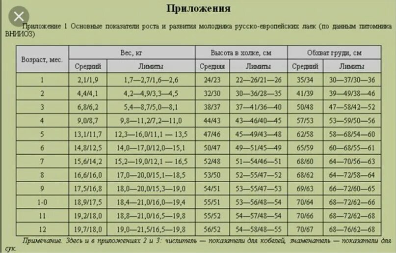 Вес 4 месячного щенка немецкой овчарки. Вес немецкой овчарки по месяцам таблица. Вес щенка немецкой овчарки в 3 месяца. Таблица роста и веса немецкой овчарки.