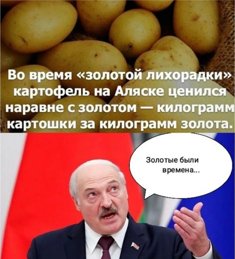 Когда будет день картошка. Когда будет день картошка
